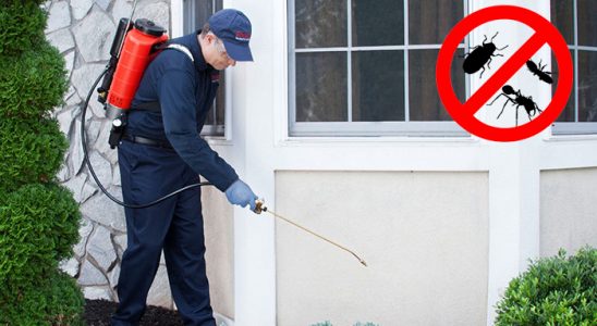 Evka 4 Fare İlaçlama böcek ilaçlama ve haşere kontrolü — ilaclama-tr.com